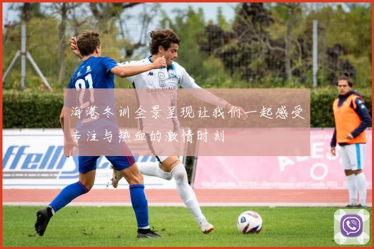 海港冬训全景呈现让我们一起感受专注与热血的激情时刻