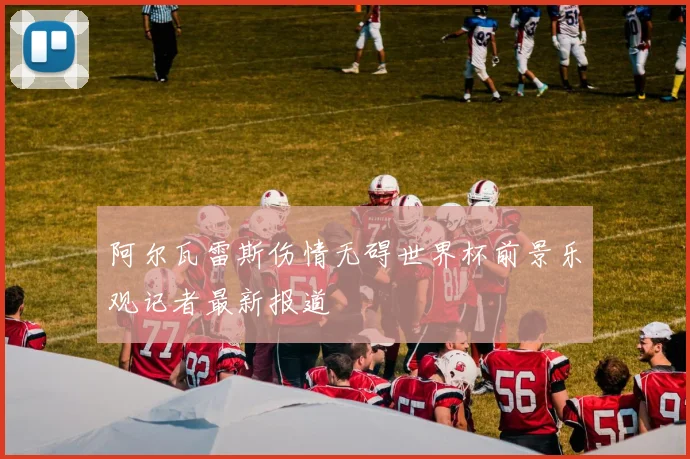 阿尔瓦雷斯伤情无碍世界杯前景乐观记者最新报道