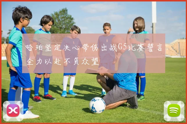 哈珀坚定决心带伤出战G5比赛誓言全力以赴不负众望