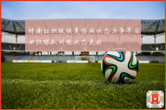 特谢拉积极恢复伤病状态力争早日回归球队训练状态良好